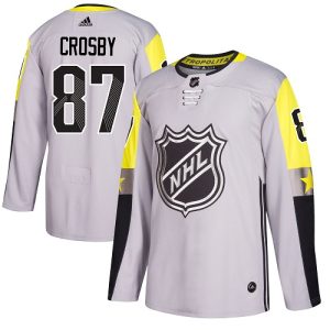 Unique Adidas Penguins #87 Sidney Crosby Gray 2018 All Star Metro Division Authentic Stitched NHL Jersey for ultimate sports enthusiasts