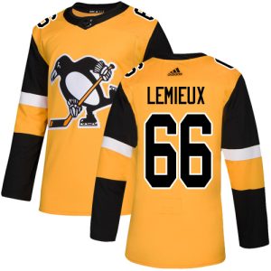 Stylish Adidas Penguins #66 Mario Lemieux Gold Alternate Authentic Stitched Youth NHL Jersey to show your team spirit